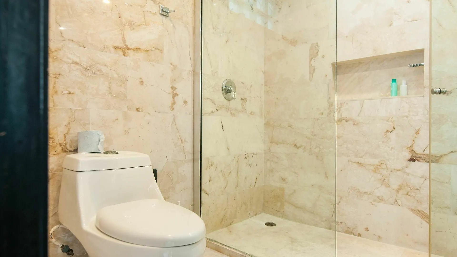 Costa Fina Oceanview Penthouse Apartment Playa del Carmen